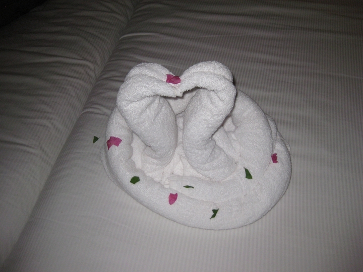 Vakantie Egypte 2010-212.jpg